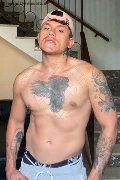 Foto Adonis Xxl Annunci Boy Taranto - 1