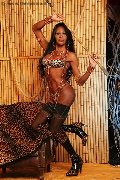 Foto Alessandra La Gatta Nera Annunci Transescort Torino - 47