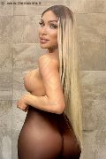 Foto Angel Bunny Annunci Trans Milano - 2