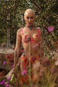 Foto Ath�na Annunci Transescort Roma - 2