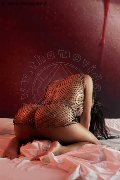Foto Candy Michelle Annunci Transescort C�cuta - 11