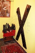 Foto Catadeya Annunci Mistresstrans Bologna - 40