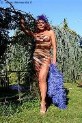 Foto Claudia B. Annunci Transescort Milano - 3