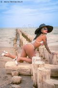 Foto Diana Marini Annunci Trans Cagliari - 55