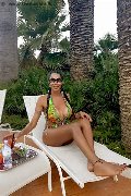 Foto Erotika Flavy Star Annunci Transescort Reggio Emilia - 405