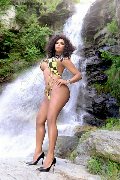 Foto Estrella Annunci Transescort Torino - 85