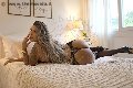 Foto Gabriella Giaretta Annunci Trans Milano - 7