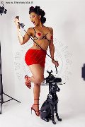 Foto Graziella Farias Annunci Transescort Ospitaletto - 46