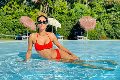 Foto Graziella Farias Annunci Transescort Ospitaletto - 65