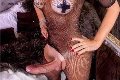 Foto Hot Ale Cavallona Annunci Transescort Legnano - 7