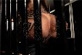 Foto Hot Bruna Xxl Annunci Trans Pavia - 3