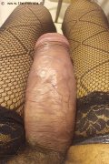 Foto Hot Virna La Super Dotata Annunci Trans Milano - 3