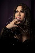 Foto Lady B  Annunci Transescort Massa - 19