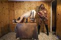 Foto Lady Carolina Annunci Mistresstrans Lido Di Savio - 3