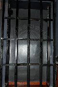 Foto Lady Paola Annunci Mistress Roma - 8