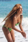 Foto Liisa Asiatica Ladyboy Annunci Transescort - 311