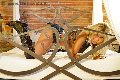 Foto Monica Kicelly Annunci Trans Parma - 27