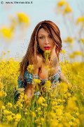 Foto Monica Kicelly Annunci Trans Parma - 208