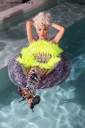 Foto Nina La Divina Annunci Transescort Ibiza - 82