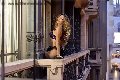 Foto Rayca Annunci Transescort San Gallo - 236