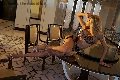 Foto Rebecca Ferraz Pornostar Annunci Transescort Roma - 20
