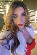 Palermo Trans Ariadna 388 75 19 396 foto selfie 8
