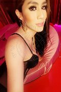 Milano Trans Jacqueline Bisset 389 28 81 250 foto selfie 33