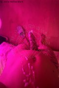 Roma Trans Escort Lara Melo 389 43 41 787 foto selfie 20