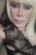 Milano Trans Escort Nicole Vip Venturiny 353 35 38 868 foto selfie 429