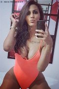 Milano Trans Escort Nicolly Hilton 392 33 27 327 foto selfie 2