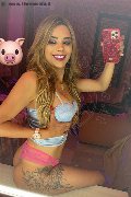 San Gallo Trans Escort Rayca 348 56 38 746 foto selfie 17