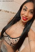 Verona Trans Escort Thayys Castro 329 72 89 046 foto selfie 64