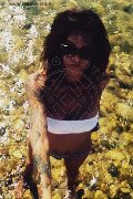 Treviso Trans Valeria 338 87 18 849 foto selfie 956