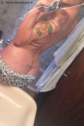 Treviso Trans Valeria 338 87 18 849 foto selfie 1039