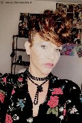 Treviso Trans Valeria 338 87 18 849 foto selfie 606