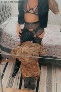 Treviso Trans Valeria 338 87 18 849 foto selfie 53
