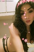 Roma Trans Wendy 320 15 06 080 foto selfie 109