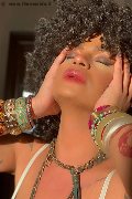 Foto Serena Annunci Transescort Bologna - 9