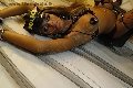 Foto Sexy Venere Nera Annunci Trans Aosta - 59