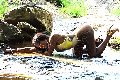 Foto Sexy Venere Nera Annunci Trans Aosta - 9