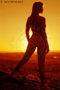 Foto Tiffani Annunci Escort Pistoia - 16