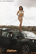 Foto Vanessa Hilton Annunci Trans Modena - 110