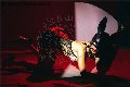 Foto Vanessa Hilton Annunci Transescort Modena - 129