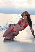 Foto Bruninha Annunci Transescort Avellino - 24