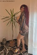Foto Carolina Sexy Annunci Transescort Siena - 10