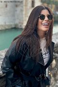 Foto Gioia Italiana Annunci Girl Bergamo - 5