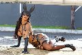Foto Hillary Brasiliana Annunci Transescort Alba Adriatica - 78