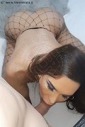 Foto Hot Daniela Hot Annunci Transescort Arezzo - 4