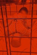 Foto Hot Giada Annunci Escort Varese - 1