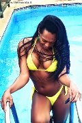 Foto Naomy Xl Annunci Transescort Bologna - 133